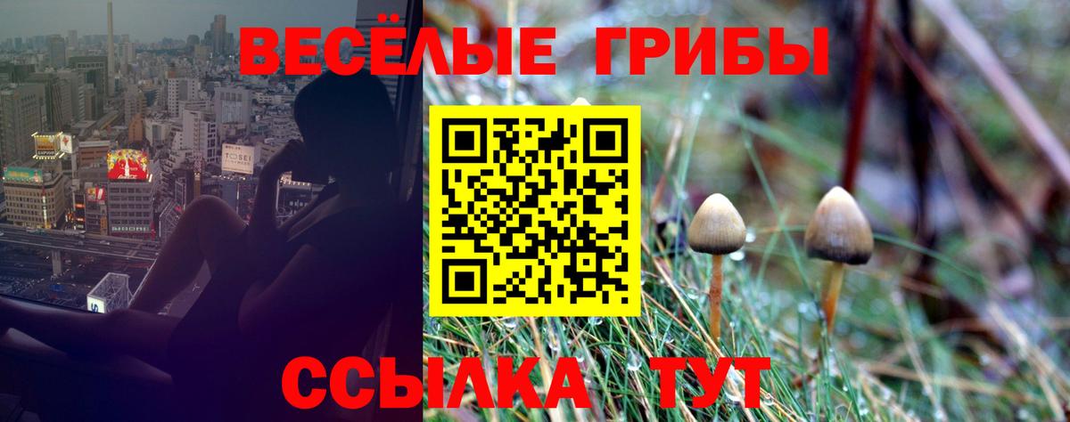 Галлюциногенные грибы MAGIC MUSHROOMS Сальск
