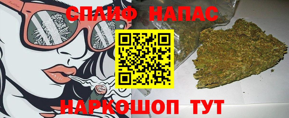 Шишки марихуана гибрид  Бошки марихуана OG Kush  Каннабис индика  Сальск  Марихуана план  Вход с VPN 